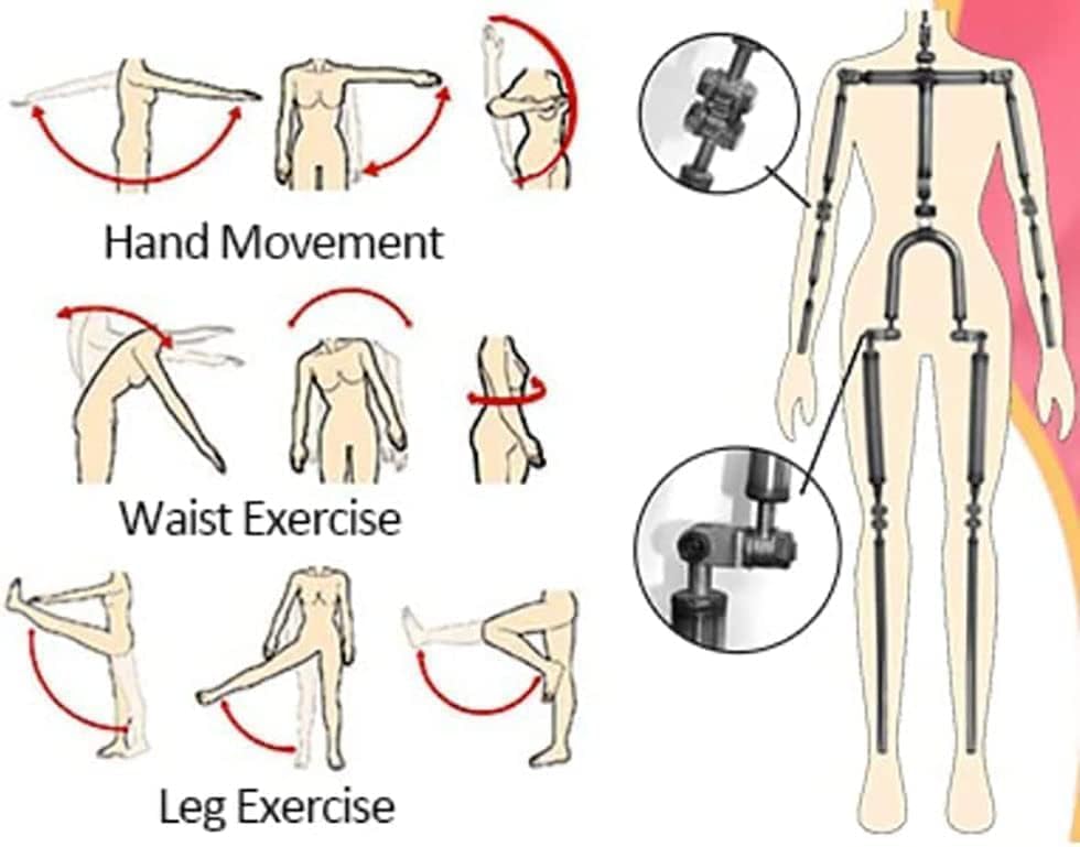 5.35FT Life Size Sex Toy Full Body Sex Toys Full Size Sex Dolls for Men Lifelike Female Torso with Jelly Breasts Male Mastubator Love Dolls Sex Pleasure